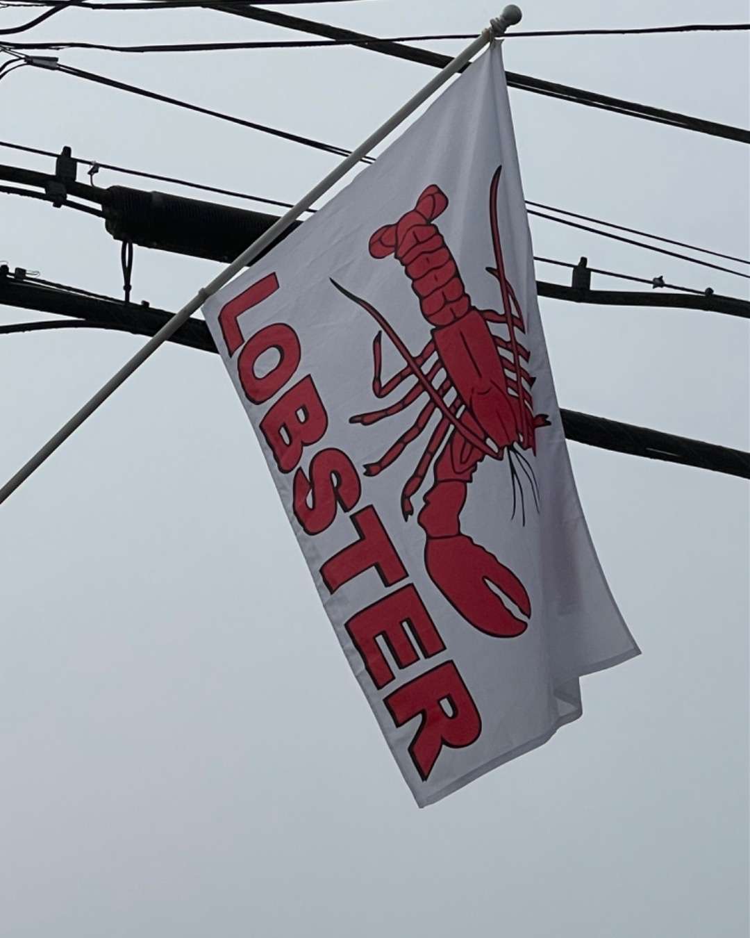 Flag with red lobster